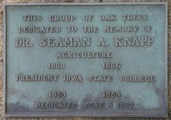 Oak tree grove dedication plaque
