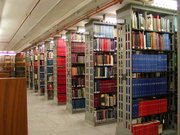 A tier in Parks Library