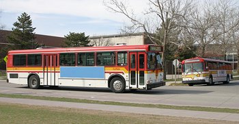 Bus #975 & #980
