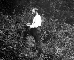 Louis Pammel in the field in 1903